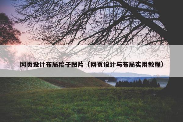 网页设计布局稿子图片（网页设计与布局实用教程）