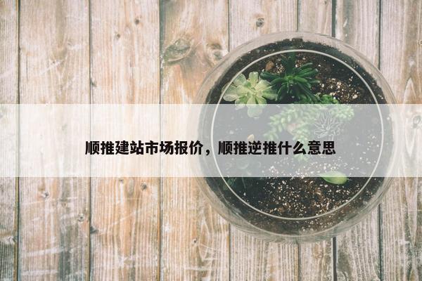顺推建站市场报价，顺推逆推什么意思