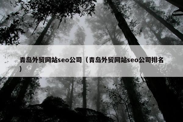 青岛外贸网站seo公司（青岛外贸网站seo公司排名）