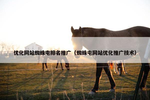 优化网站蜘蛛屯排名推广（蜘蛛屯网站优化推广技术）