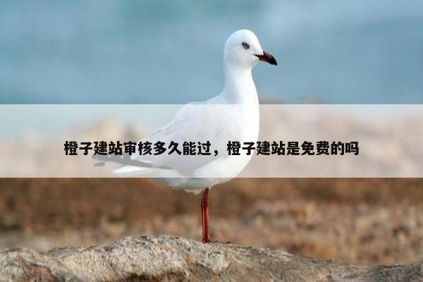 橙子建站审核多久能过，橙子建站是免费的吗
