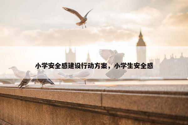 小学安全感建设行动方案，小学生安全感