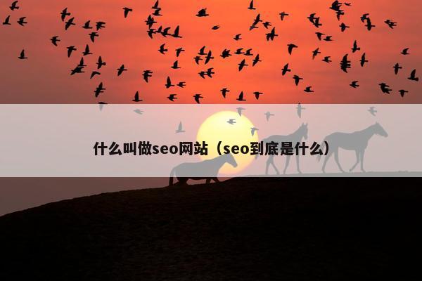 什么叫做seo网站（seo到底是什么）