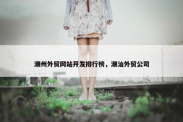 潮州外贸网站开发排行榜，潮汕外贸公司