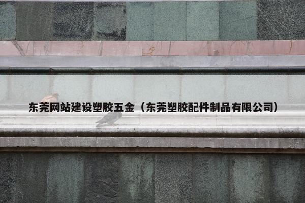东莞网站建设塑胶五金（东莞塑胶配件制品有限公司）