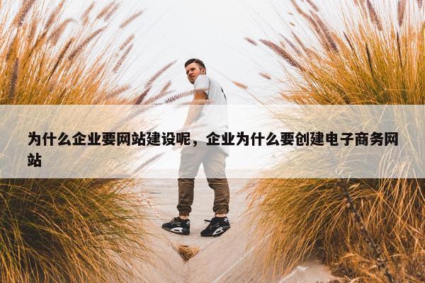 为什么企业要网站建设呢，企业为什么要创建电子商务网站