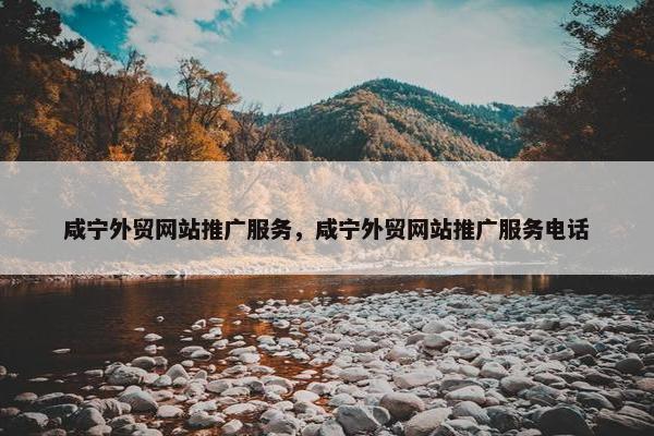 咸宁外贸网站推广服务，咸宁外贸网站推广服务电话
