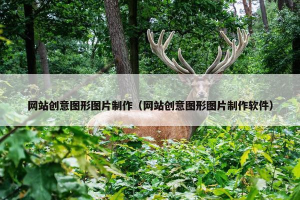 网站创意图形图片制作（网站创意图形图片制作软件）