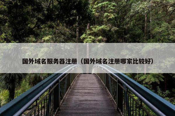 国外域名服务器注册（国外域名注册哪家比较好）