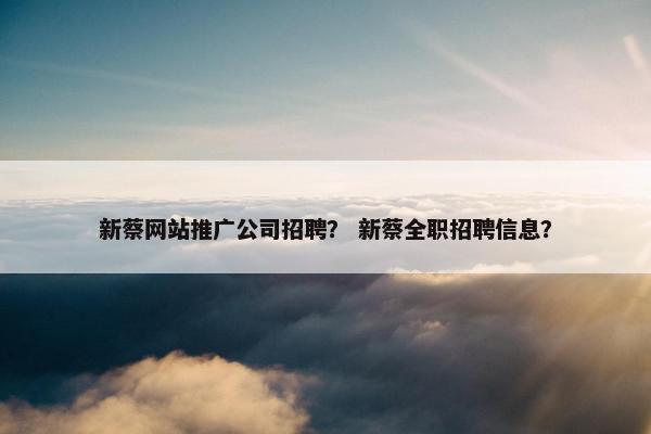 新蔡网站推广公司招聘？ 新蔡全职招聘信息？