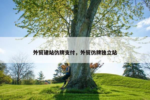 外贸建站仿牌支付，外贸仿牌独立站