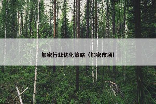 加密行业优化策略（加密市场）