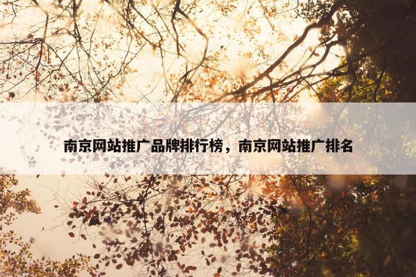 南京网站推广品牌排行榜，南京网站推广排名