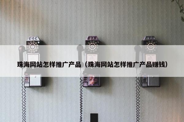 珠海网站怎样推广产品（珠海网站怎样推广产品赚钱）