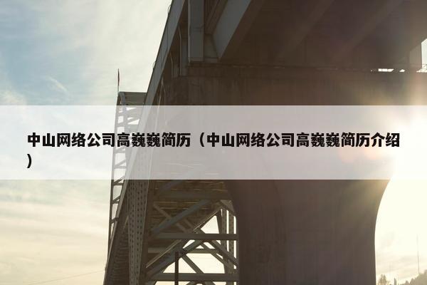 中山网络公司高巍巍简历（中山网络公司高巍巍简历介绍）