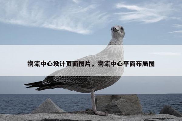 物流中心设计页面图片，物流中心平面布局图