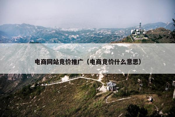 电商网站竞价推广（电商竞价什么意思）