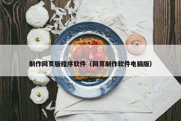 制作网页版程序软件（网页制作软件电脑版）