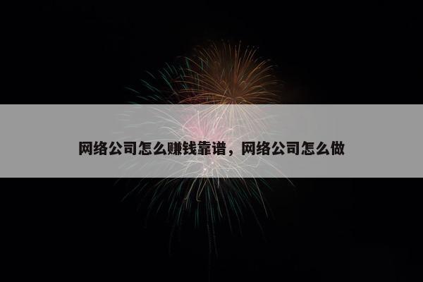 网络公司怎么赚钱靠谱，网络公司怎么做