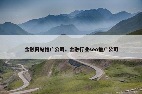 金融网站推广公司，金融行业seo推广公司