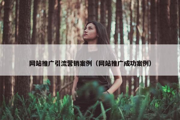 网站推广引流营销案例（网站推广成功案例）