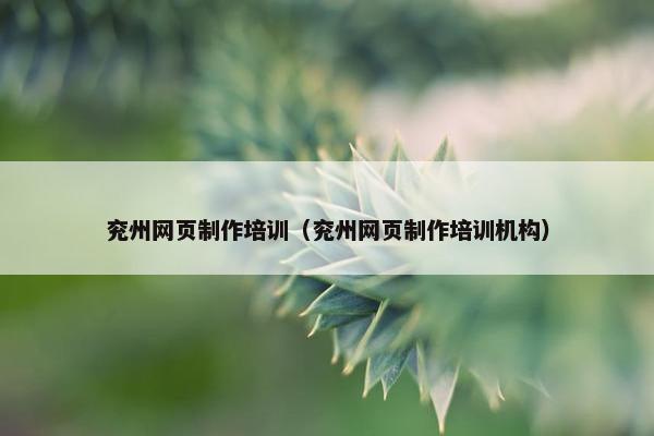 兖州网页制作培训（兖州网页制作培训机构）