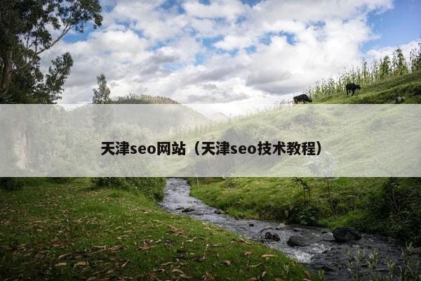 天津seo网站（天津seo技术教程）