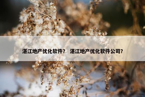 湛江地产优化软件？ 湛江地产优化软件公司？