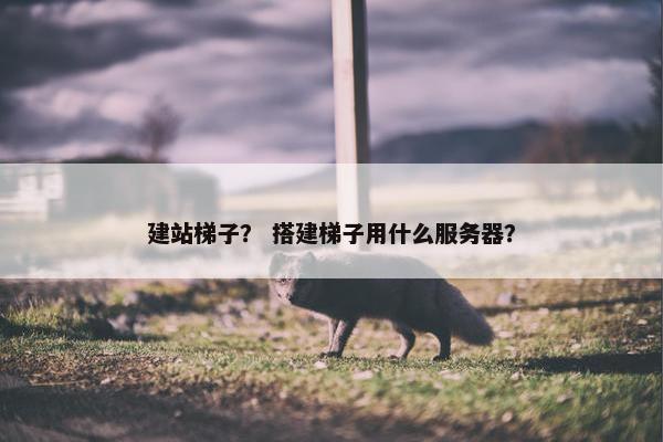 建站梯子？ 搭建梯子用什么服务器？