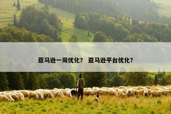 亚马逊一周优化？ 亚马逊平台优化？