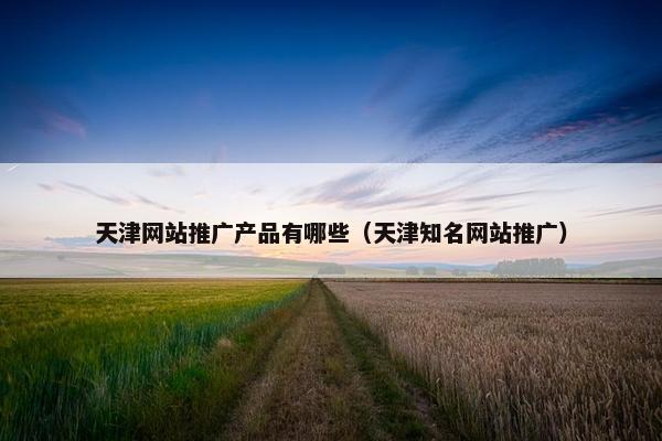 天津网站推广产品有哪些（天津知名网站推广）