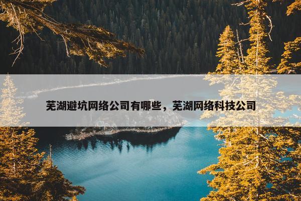 芜湖避坑网络公司有哪些，芜湖网络科技公司