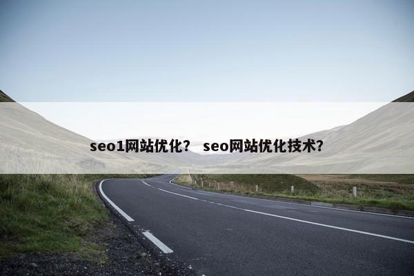 seo1网站优化？ seo网站优化技术？