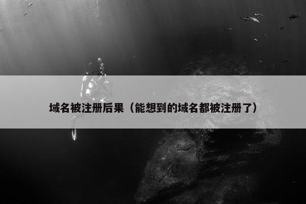 域名被注册后果（能想到的域名都被注册了）