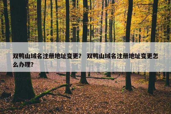 双鸭山域名注册地址变更？ 双鸭山域名注册地址变更怎么办理？