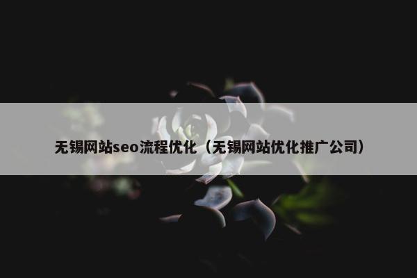 无锡网站seo流程优化（无锡网站优化推广公司）
