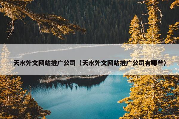 天水外文网站推广公司（天水外文网站推广公司有哪些）