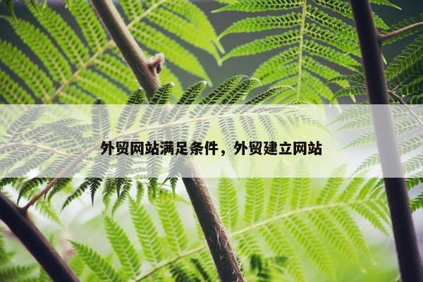 外贸网站满足条件，外贸建立网站