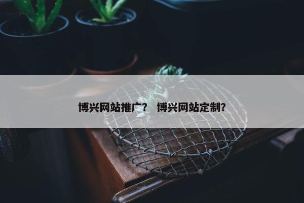 博兴网站推广？ 博兴网站定制？