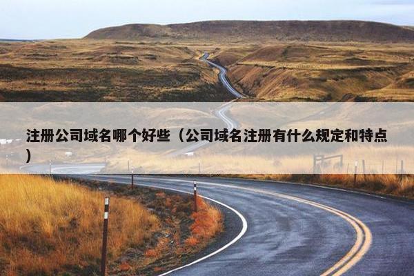 注册公司域名哪个好些（公司域名注册有什么规定和特点）