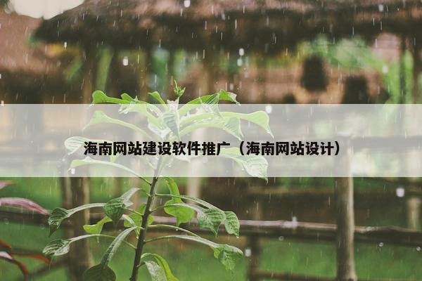 海南网站建设软件推广（海南网站设计）