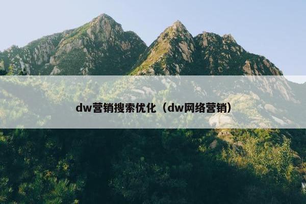 dw营销搜索优化（dw网络营销）