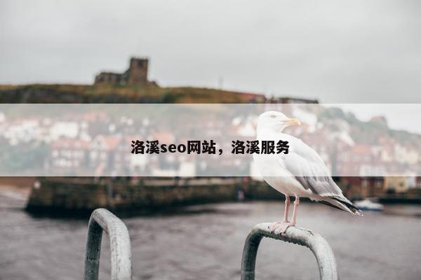洛溪seo网站，洛溪服务