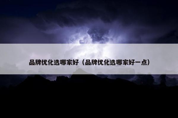 品牌优化选哪家好（品牌优化选哪家好一点）
