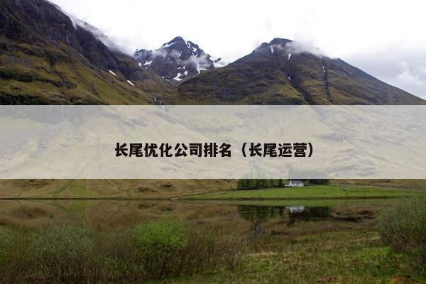 长尾优化公司排名（长尾运营）