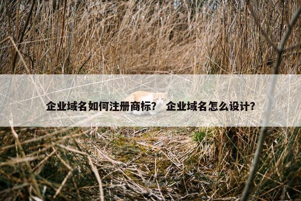 企业域名如何注册商标？ 企业域名怎么设计？