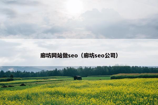 廊坊网站做seo（廊坊seo公司）