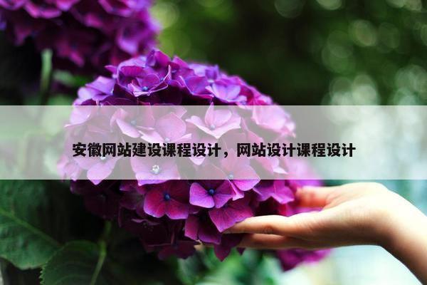 安徽网站建设课程设计，网站设计课程设计