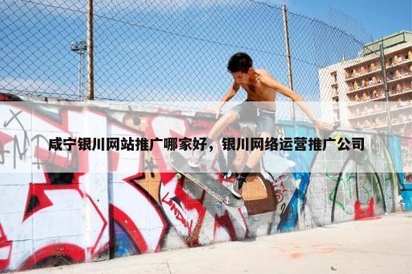 咸宁银川网站推广哪家好，银川网络运营推广公司