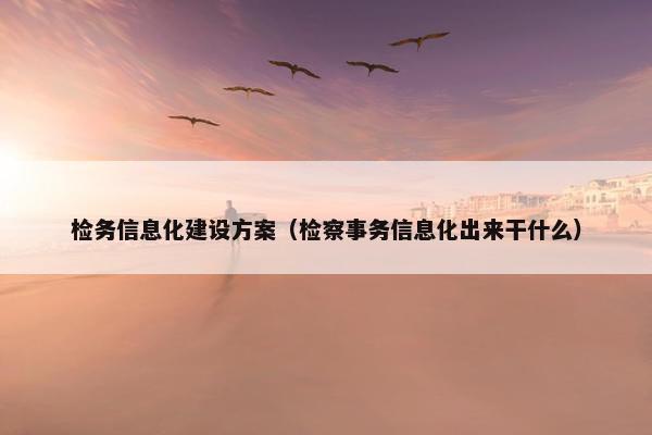 检务信息化建设方案（检察事务信息化出来干什么）